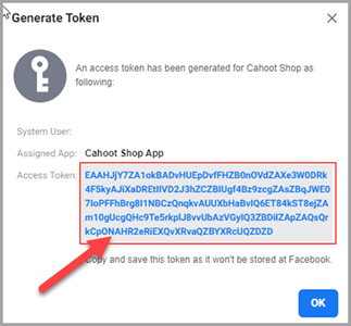 Facebook token generation result showing Access Token
